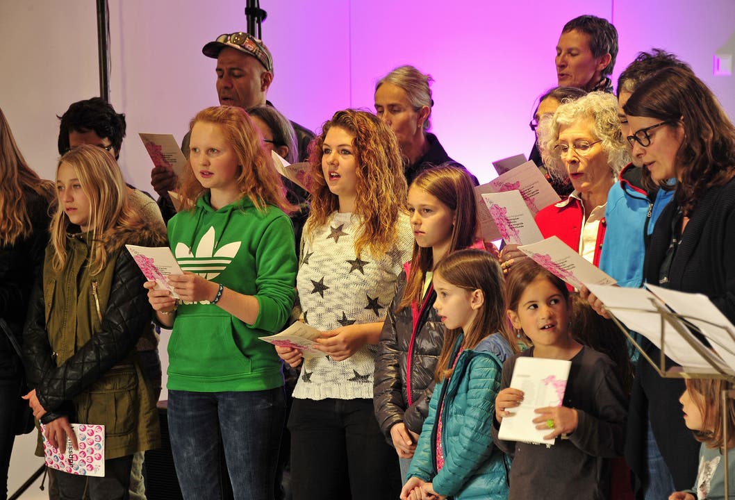 Ein Ad-doc-Chor sang das "Neue Aargauerlied" bei der Vernissage zur Ausstellung mit Toninstallation im Stadtmuseum Aarau.