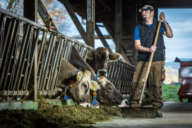Bauer Alex Füglistaller in Wohlenschwil musste mehr Kühe verkaufen als in anderen Jahren, weil er zu wenig Futter hat, um alle durch den Winter zu bringen.