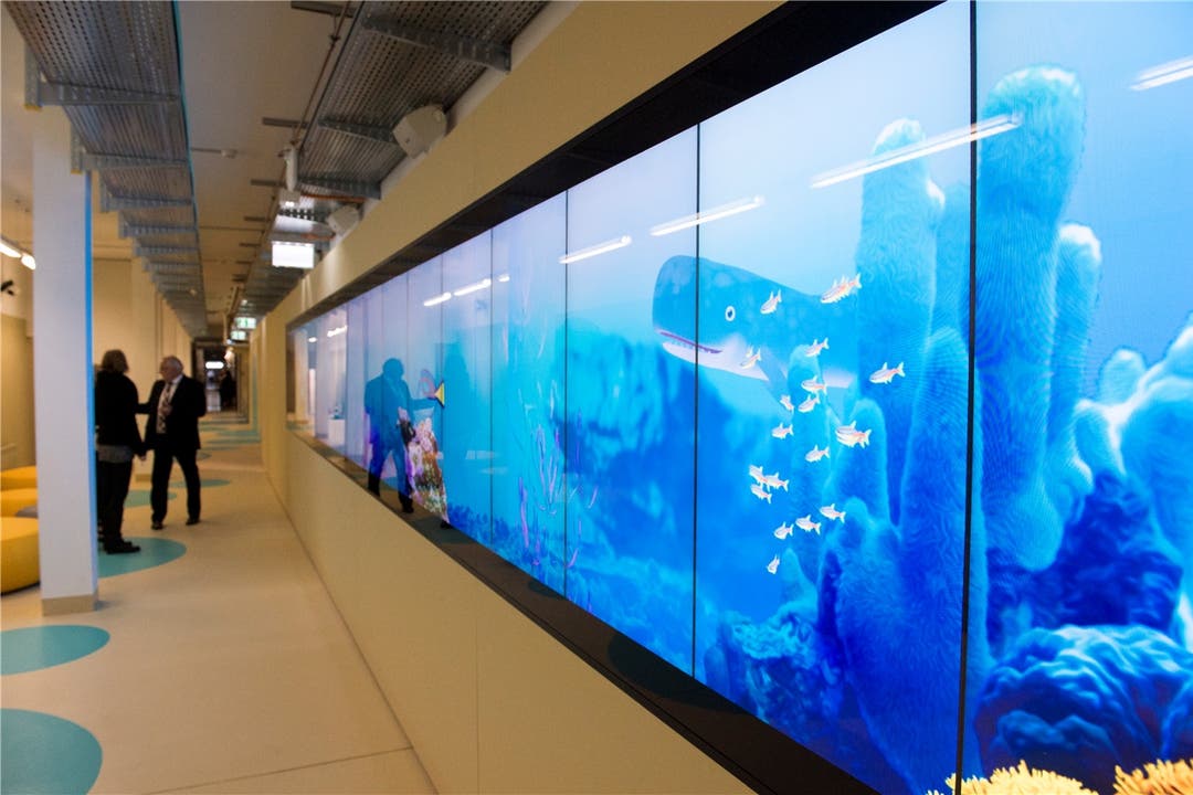 Die Unterwasserwelt im provisorischen Hauptkorridor, der die Trakte verbindet.