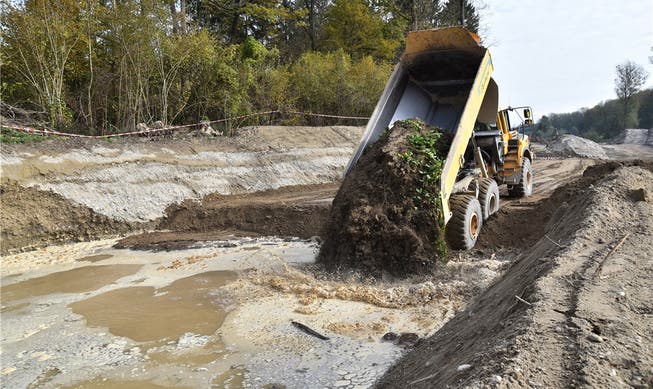 An der Aare bei Winznau befindet sich eine der ersten Baustellen für den Hochwasserschutz. Hier könnten die Erdarbeiten an der Aare auch im Winter teilweise fortgesetzt werden.