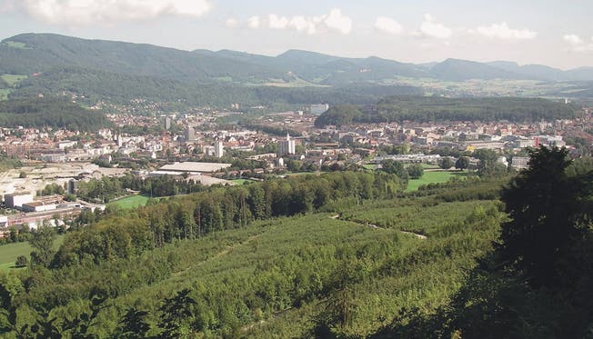 Der Bornwald gehört zum Gelände der Solothurner Waldtage.