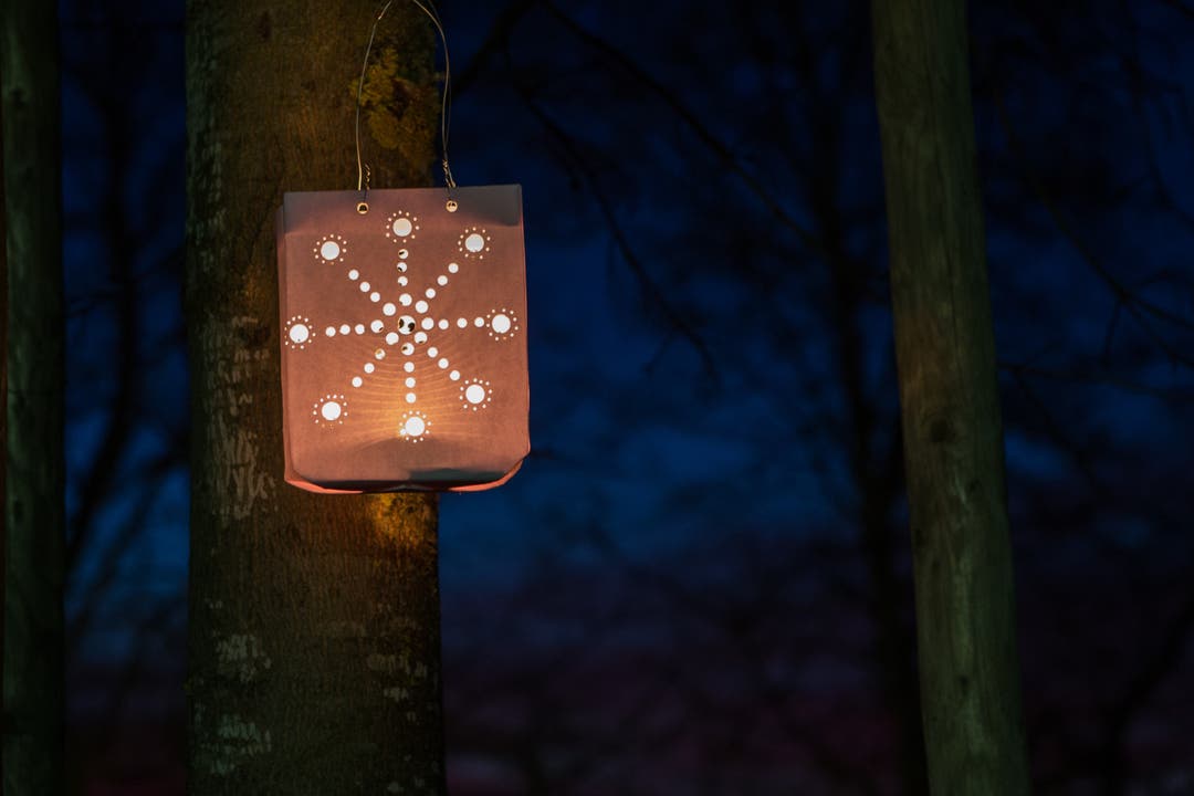 Lichtinstallationen an Parkbäumen