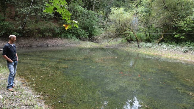 Einen so tiefen Wasserstand konnte Daniel Peier am Flüemattweiher noch nie beobachten. Die Goldfische in der Mitte des Teichs scheints nicht zu kümmern.