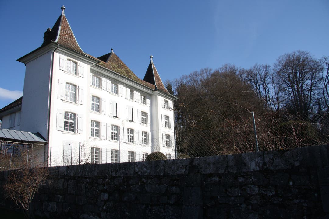 Die Südfassade des Königshofs, im Hintergrund das Waldstück