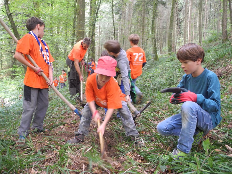 Die Kinder der Lenzburger Pfadi Gofers werken im Wald für die gemeinnützige Aktion «72 Stunden»