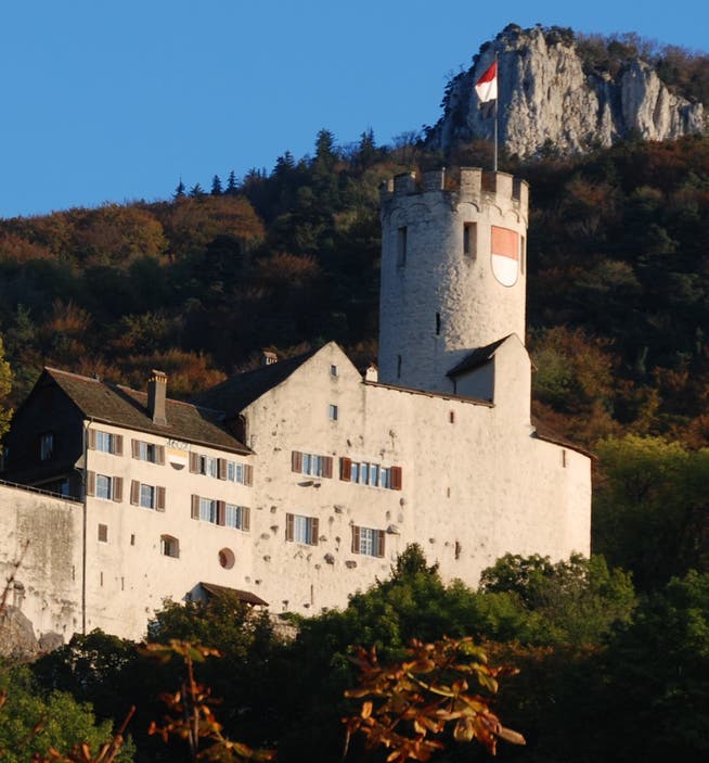 Schloss Neu-Bechburg