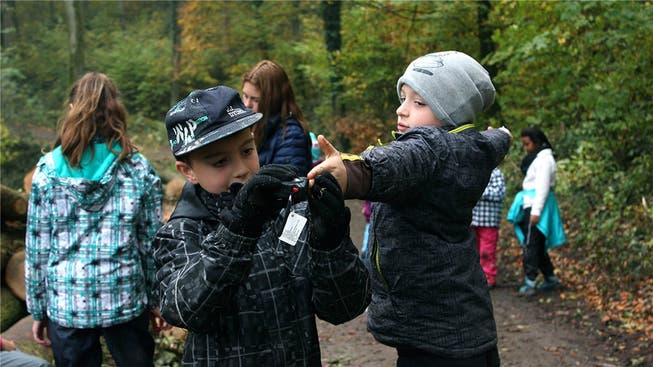 In der Waldschule lernen die Laufenburger Kinder das Schätzen und Messen. zvg