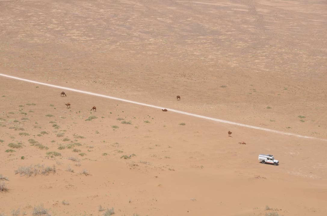Iran - Kashan Wüste - Kamele bei unserem Landy
