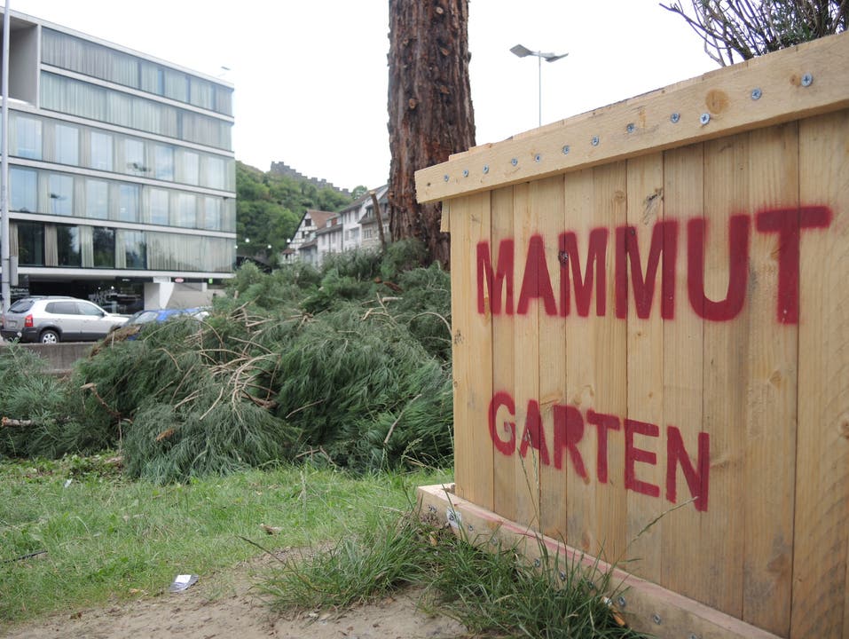 Der Mammut-Garten gehört nun definitiv zur Vergangenheit.