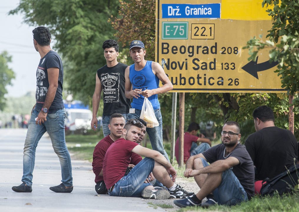 Junge Flüchtlinge an der serbisch-ungarischen Grenze