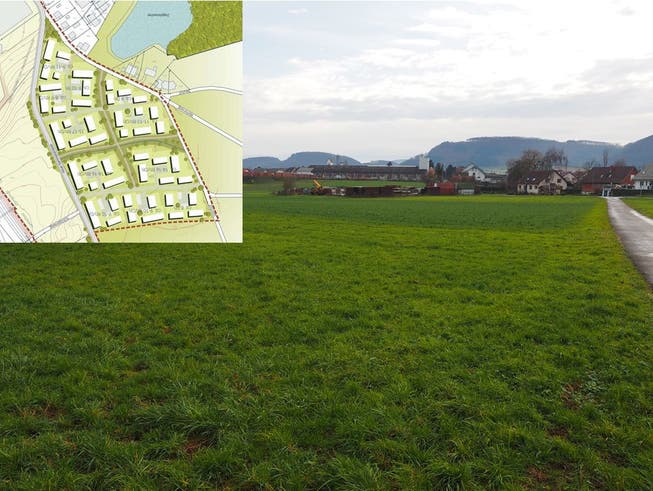Auf der grünen Wiese kann die Gemeinde Frick im Gebiet «Lammet» ein neues Quartier mit einem Arbeits- und einem Wohnbereich planen.