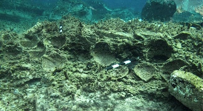 Reste einer Unterwasserstadt: Griechische Archäologen fanden vor der Insel Delos unter anderem zerbrochene Terrakottatöpfe.