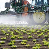 Ein Traktor bringt auf einem Salatfeld Pflanzenschutzmittel aus. (Bild: Christian Beutler/Keystone)