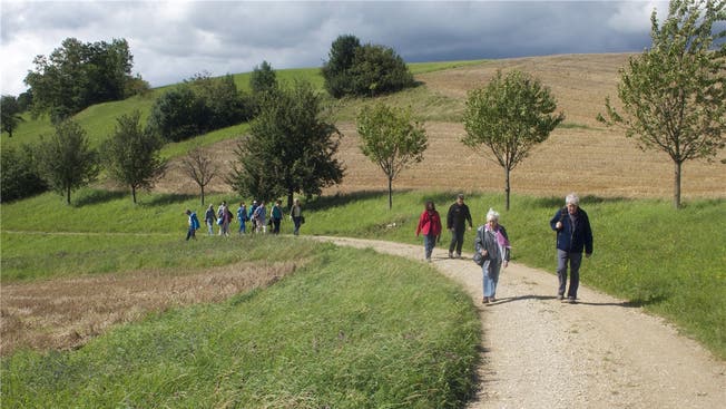 Beim Spaziergang über die Wiesen erfahren die Teilnehmer viel Wissenswertes über Fauna und Flora des Juraparks.