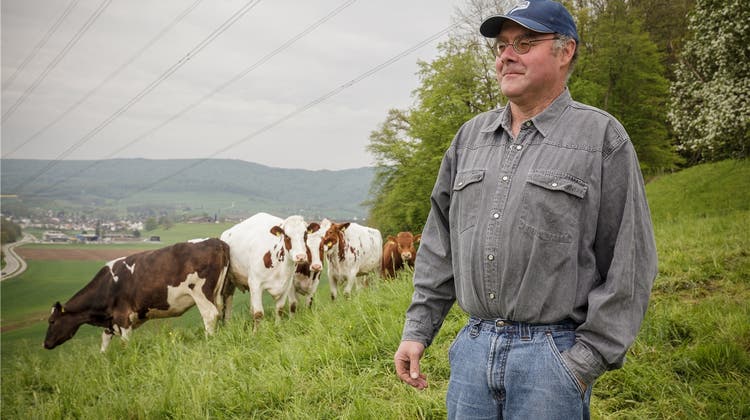 Kühe stehen unter Strom: Nebst der Milch wird da auch der Bauer sauer