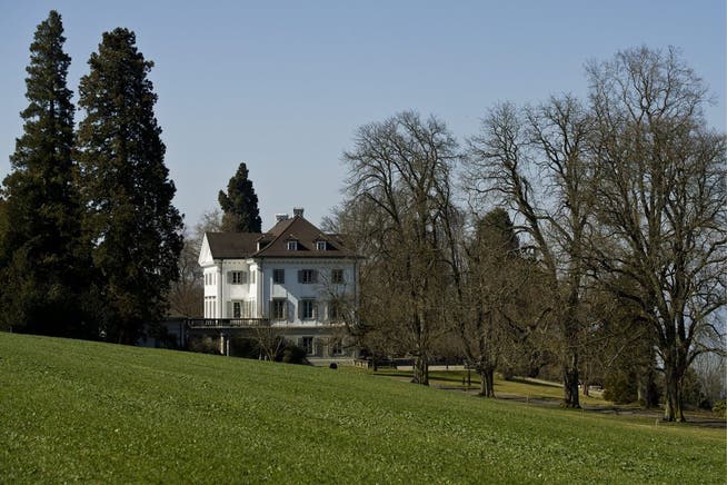 Streitpunkt Nummer 1: Schloss Eugensberg von Rolf Erb in Salenstein