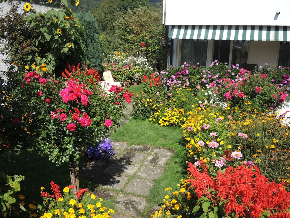 Ihr Garten ist Elfriede Muntwylers Leidenschaft