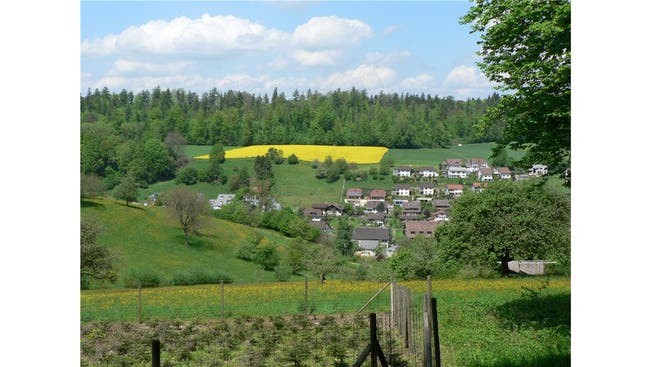 Die Gemeinde Ammerswil
