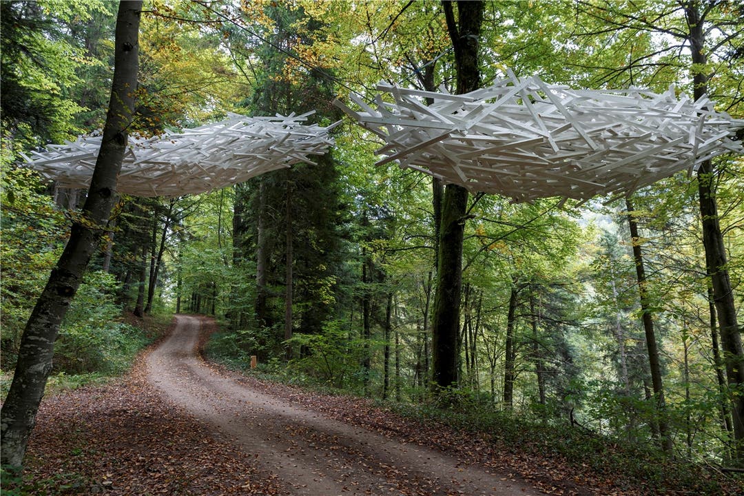 Nr. 15: «Wolken» – die Objekte aus Holz scheinen über dem Waldwanderweg Richtung Holderbank zu schweben.