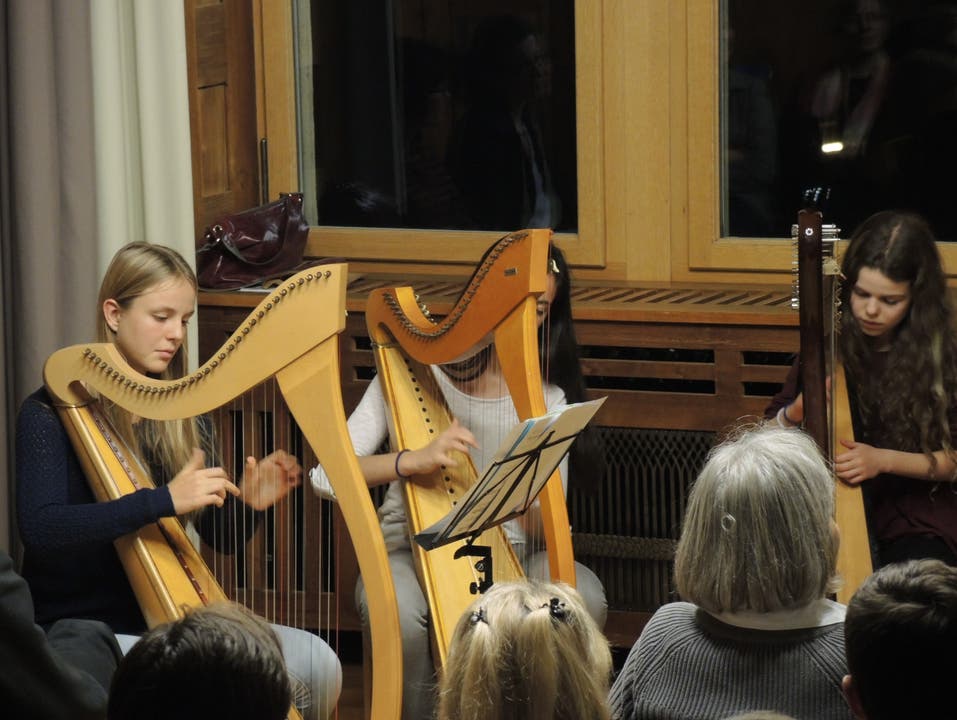 Umrahmt wurde die Vernissage vom Harfenensemble der Musikschule.