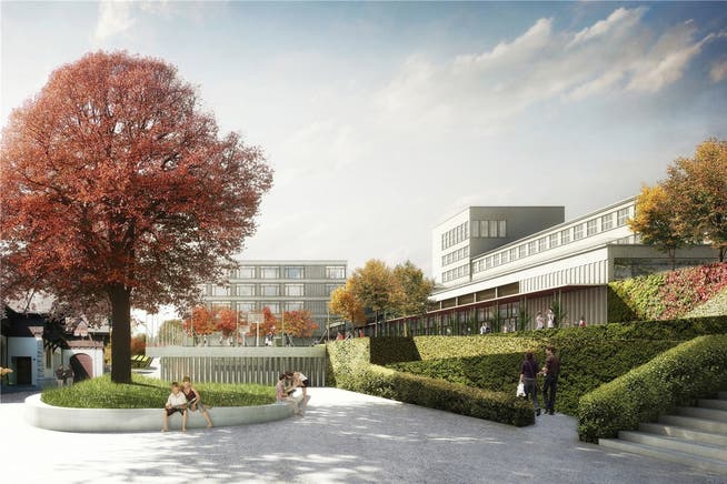 So soll sich das neue Sekundarstufenzentrum Burghalde präsentieren. Das Siegerprojekt «Blaue Blume» hat das Büro Masswerk Architekten aus Kriens entworfen. zvg