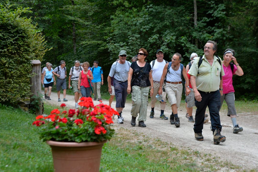 Abendwanderung von Messen durch den Bucheggberger Wald zum Forsthaus Messen und zurück mit 32 Teilnehmern 17