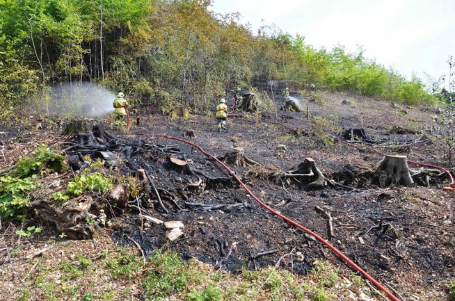 Ein Waldbrand, wie im Jahr 2011 im Gempenwald, gilt es mit Feuerverbots-Massnahmen zu verhindern.