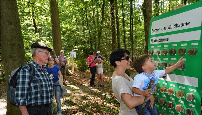 Das Volk im Wald: Rund 20000 Besucherinnen und Besucher kamen im September an die ersten Waldtage.