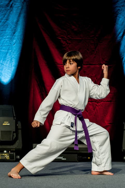 Das KSI Karate Limmattal präsentierte in einer Show ihr Können