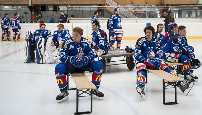 ZSC Lions