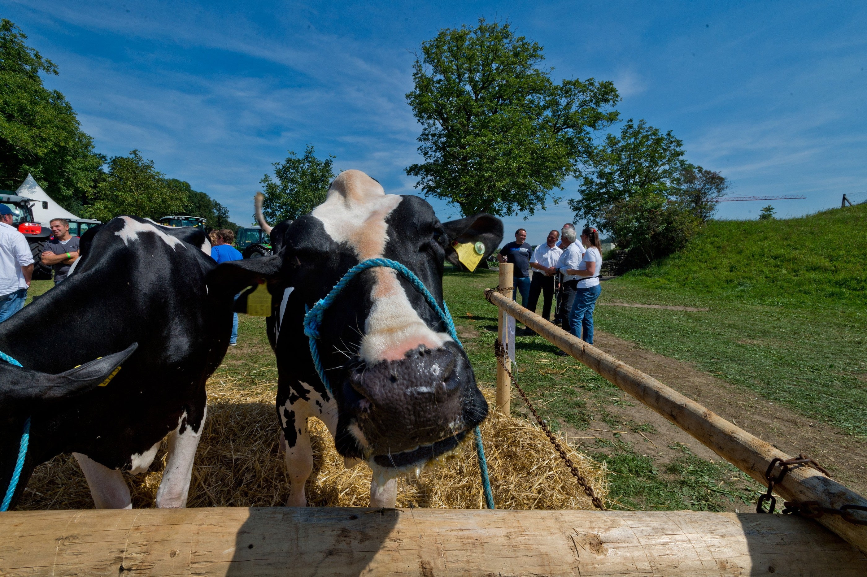 Expo-Pläne - Bauernverband Unterstützt Expo Im Aargau