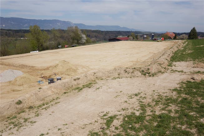 Mit einem grosszügigen Ausblick auf den Jura können künftig die Bucheggberger Reiterinnen, Reiter und Gespannfahrer auf dem beinahe Fussballfeld grossenReitplatz trainieren.