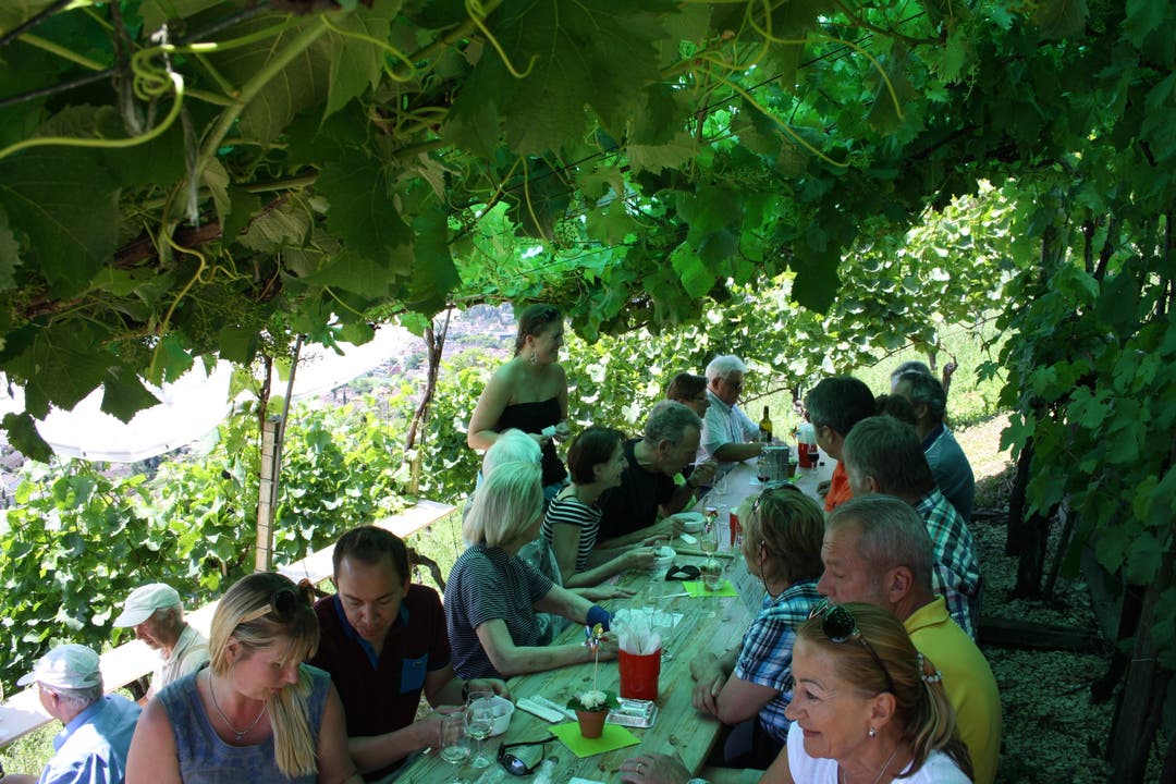 Familien und Bekannte treffen sich auf ein Gläschen Wein im Rebberg