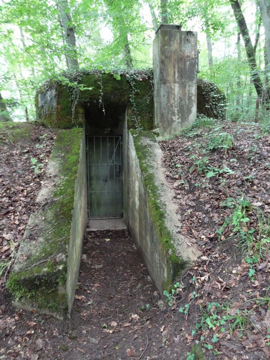 Der obere Ausstieg des Bunkers mündet im Wald oberhalb des Steinbruchs