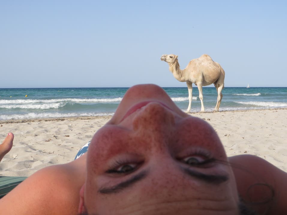 Saskia Suter (13) aus Fahrwangen kann nicht glauben, dass am Strand auf Djerba ein Kamel ohne Führer herumläuft.