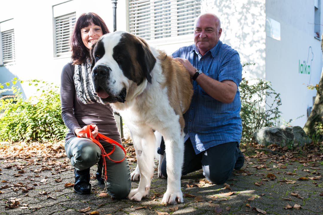 Portrait und Interview im Hundesalon Laika in Geroldswil mit v.l. Gaby Albicker, Gianna, (und ihr Mann) Markus Kretz.