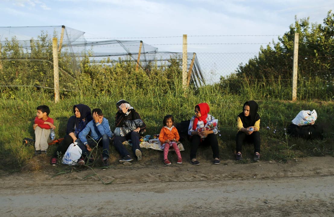 Flüchtlinge an der serbisch-ungarischen Grenze vor Kroatien.