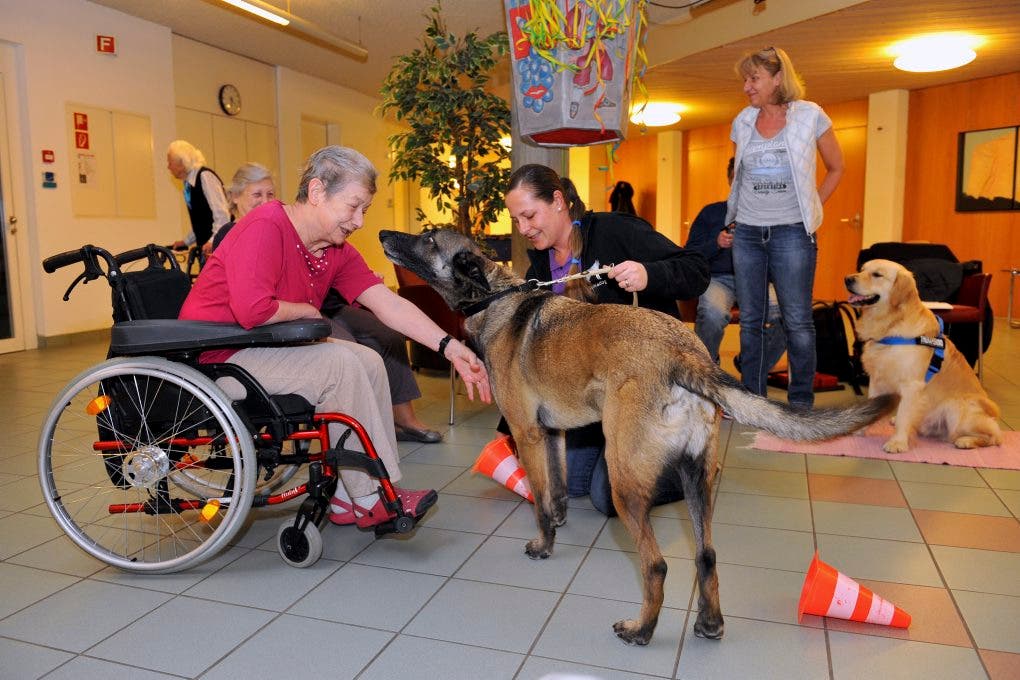 Hundetrainerin Martina Dietschi und ihr eigener Hund Homy begrüssen eine Bewohnerin