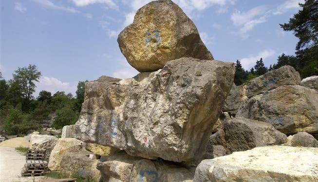 Steine des Anstosses gabs einige – die im Bargetzi-Areal waren aber keine.