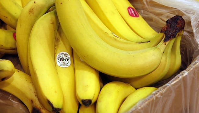 Bananenblätter sollen an der Leichtathletik-Europameisterschaft für Sicherheit sorgen