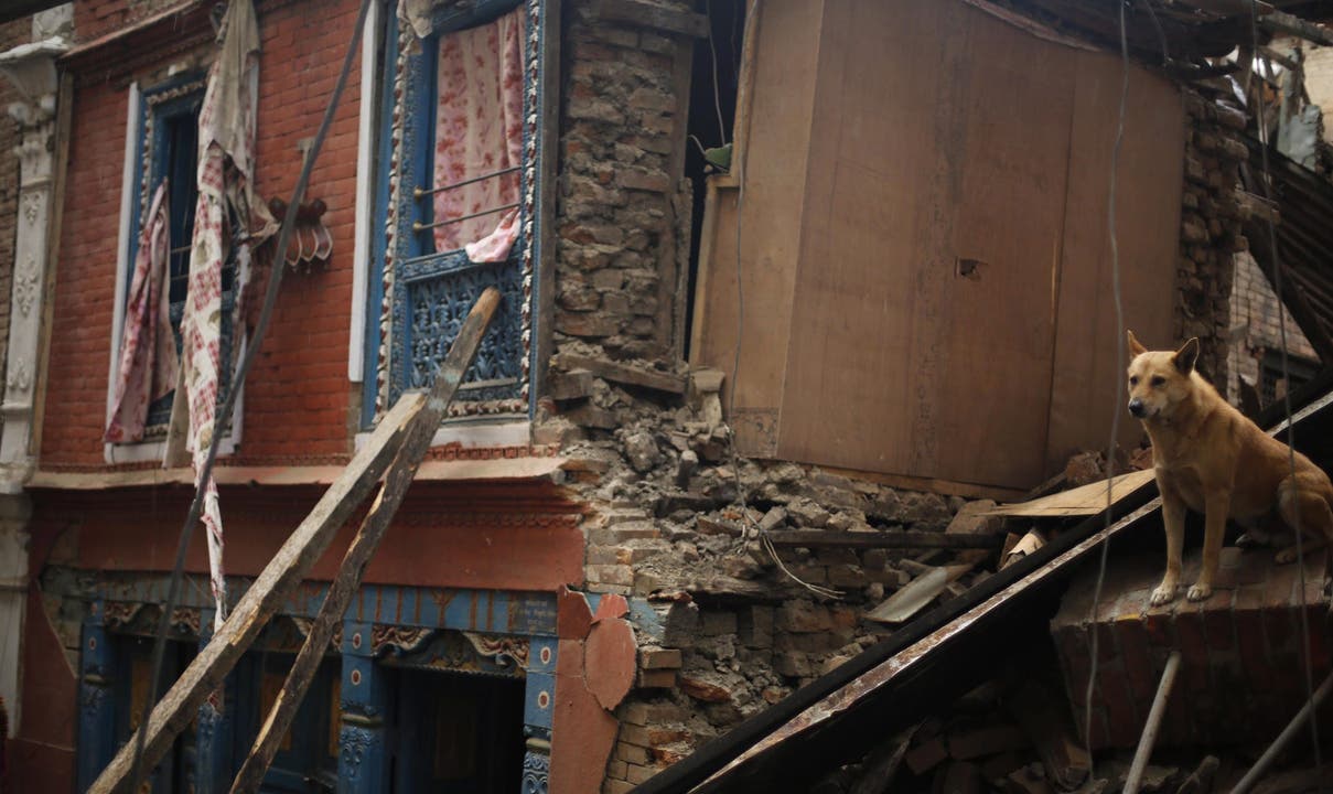 Schweres Erdbeben in Nepal fordert hunderte Tote