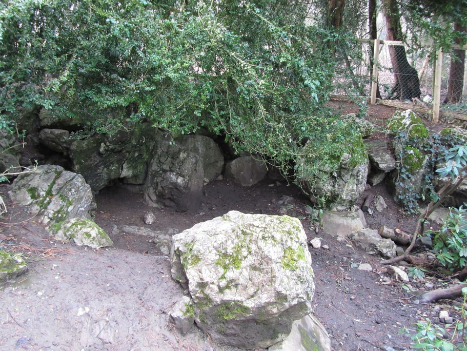 Die unbewachsene Stelle und die Steine dahinter markieren die versiegte Grotte