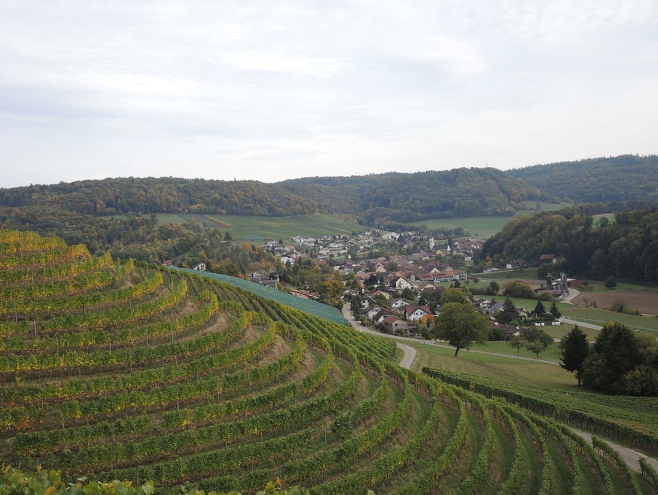 Weingut Alter Berg, Tegerfelden im Hintergrund