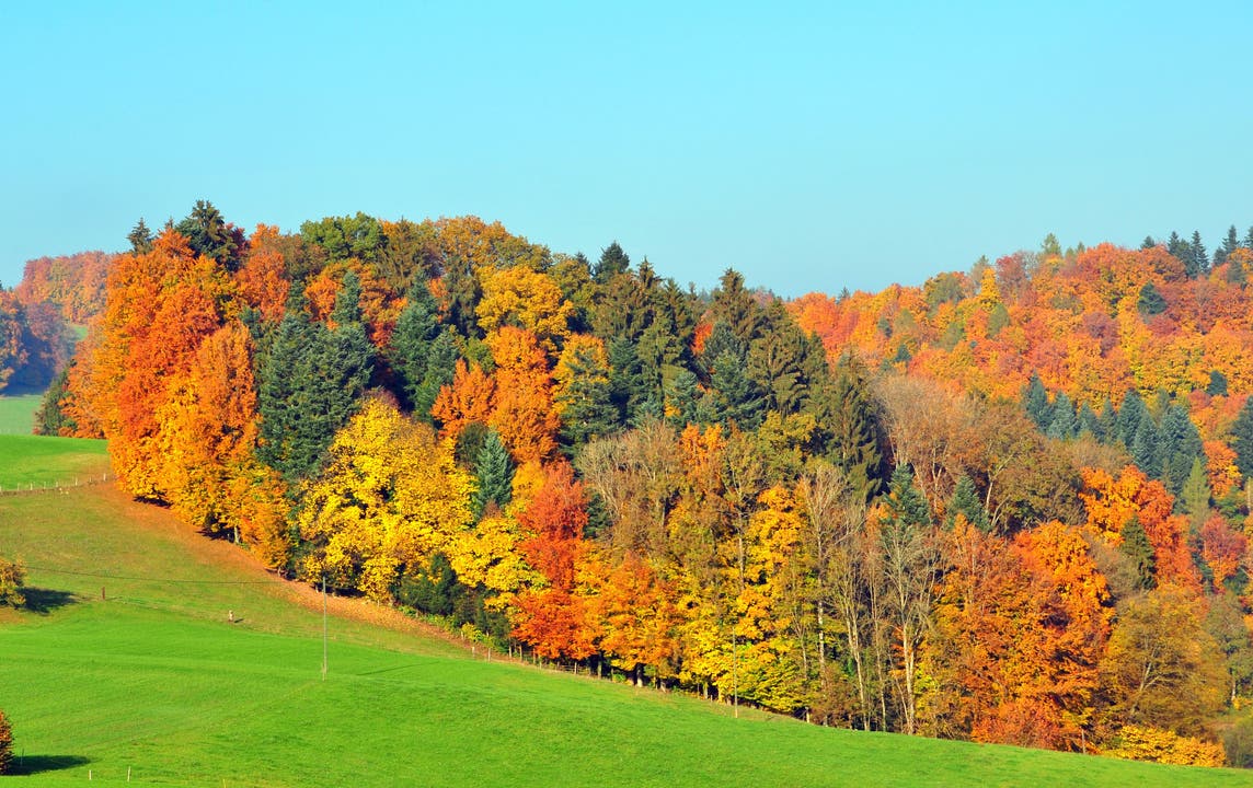 Die schönsten Herbstfarben: hier im Suhretal.