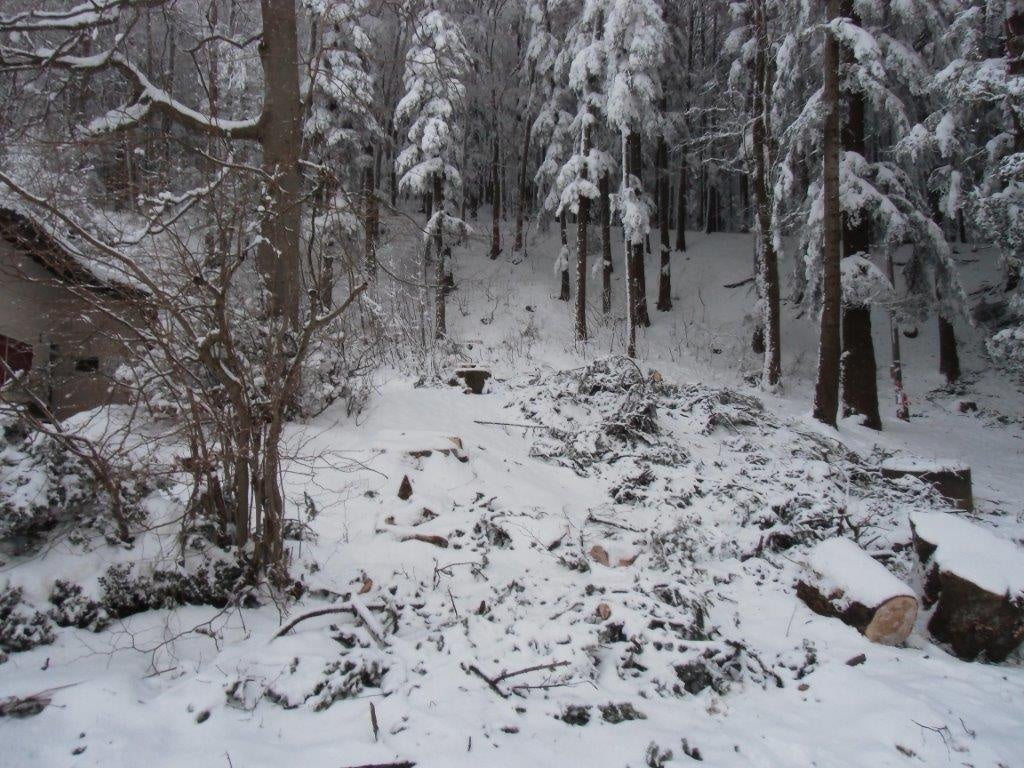 Naturfreunde Aarau (Schafmatt) - Forstarbeiten Auf Der Schafmatt