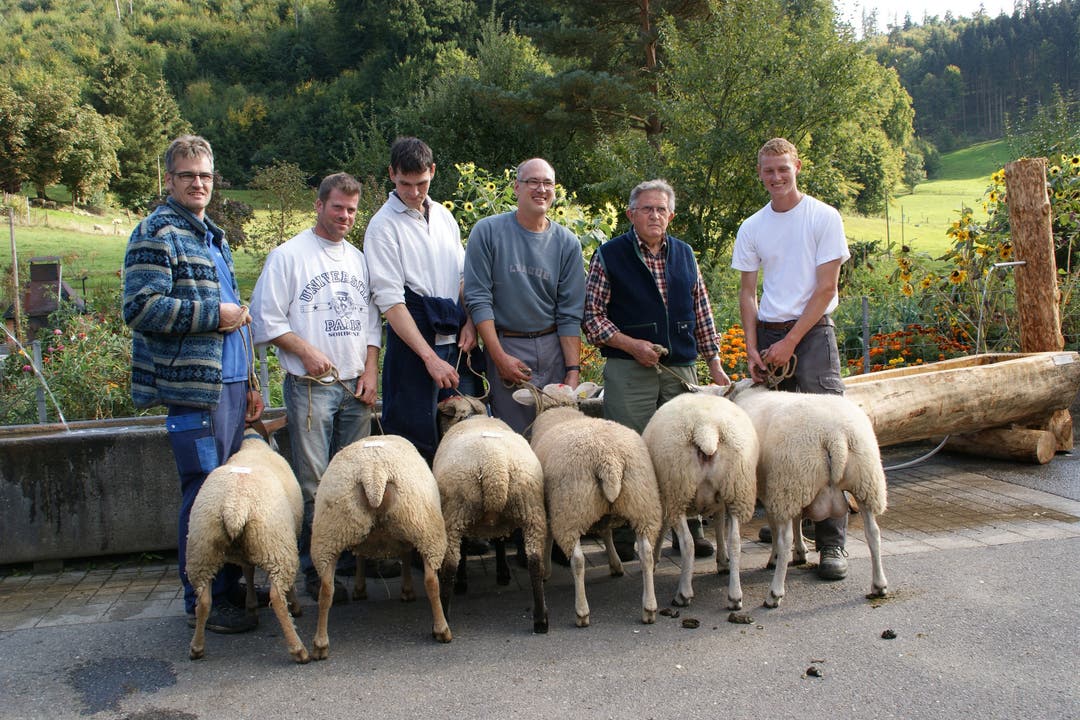 Prämierung der besten Schafe des Schafzuchtvereins Kulm und Umgebung