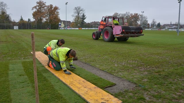 In Härkingen wurde diese Woche der Fussballplatz von einer spezialisierten Firma gepflegt und instand gestellt. Bei den Torräumen wurde neuer Rasen eingesetzt.