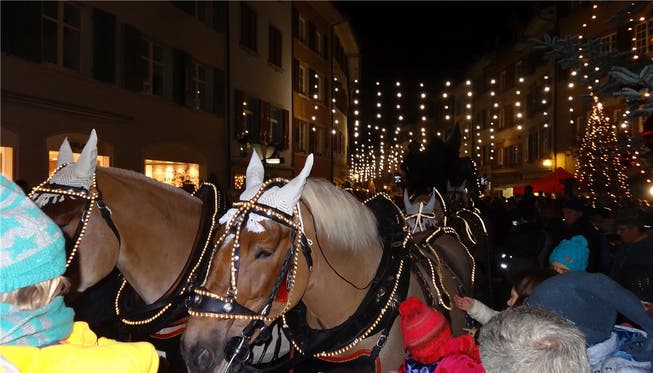 Geduldiges Ausharren der Brauereipferde inmitten der Schaulustigen auf der nun weihnachtlich illuminierten Marktgasse.