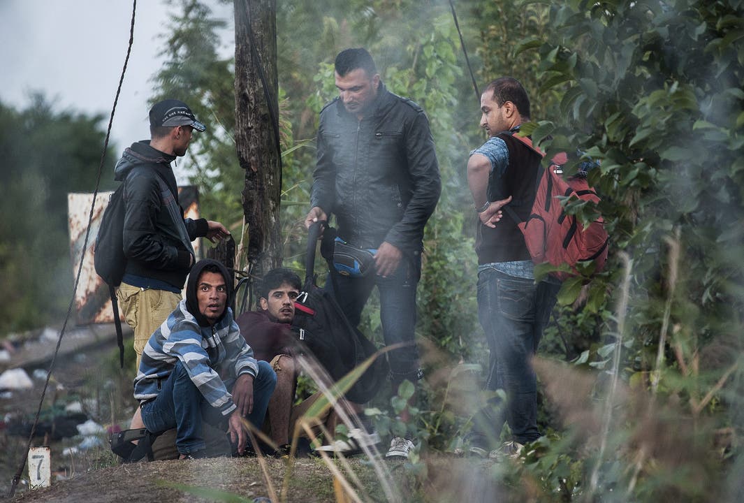 Migranten warten auf der serbischen Seite der Grenze.