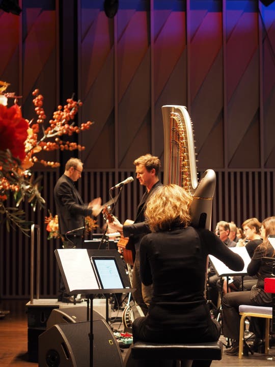 Harfe und Gitarre- beim Konzert in der Trafohalle gab es aussergewöhnliche Kombinationen